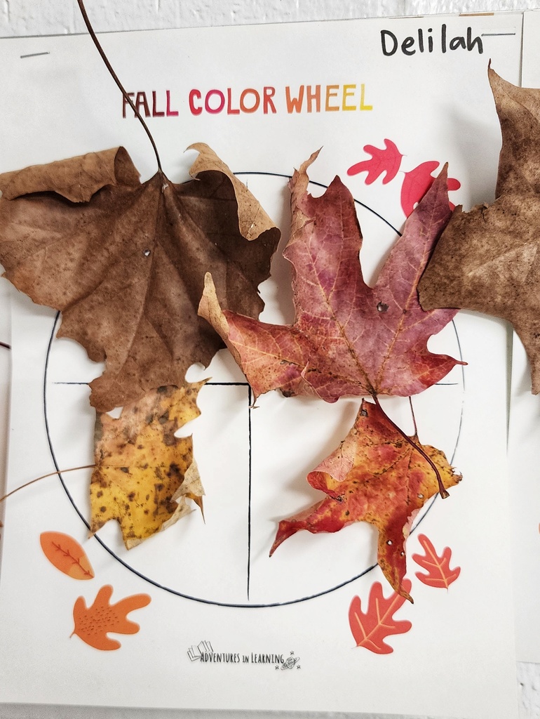 student's "Fall Color Wheel" art project