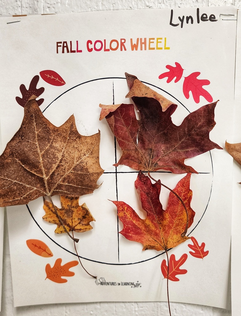 student's "Fall Color Wheel" art project