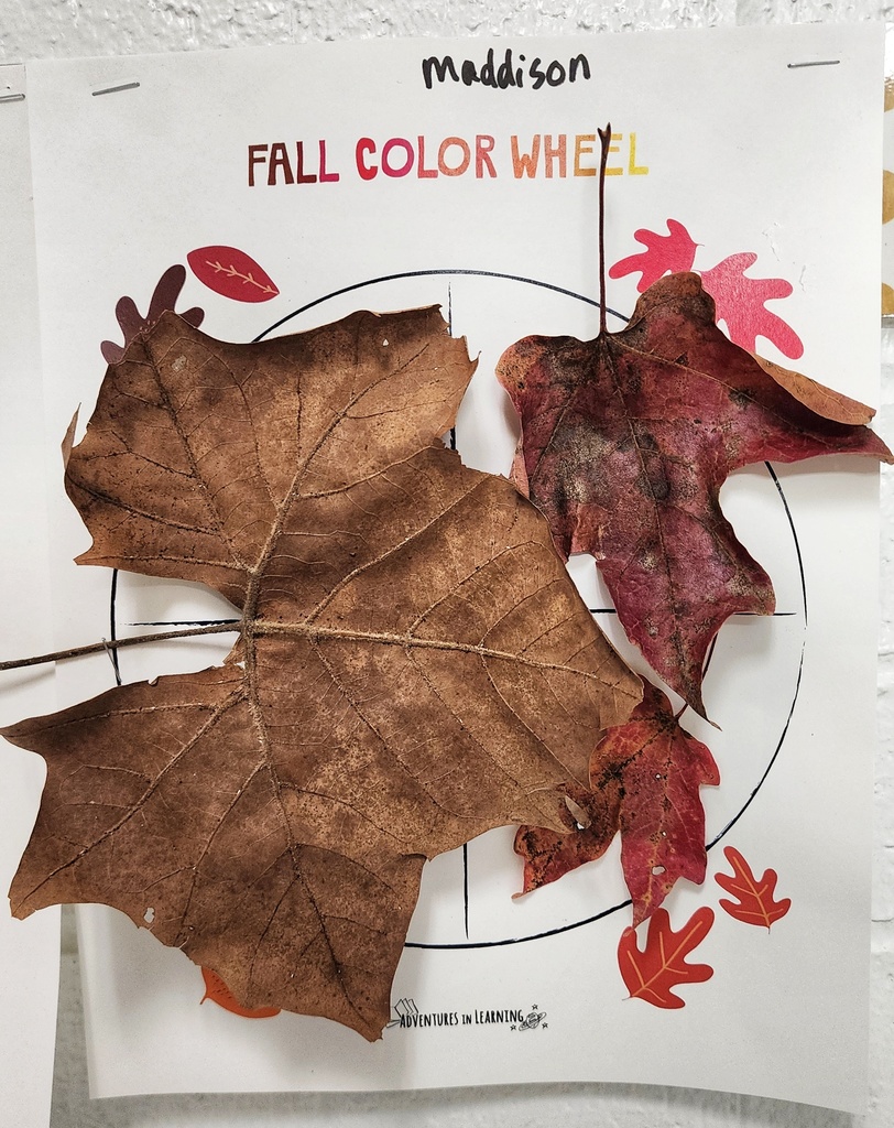 student's "Fall Color Wheel" art project