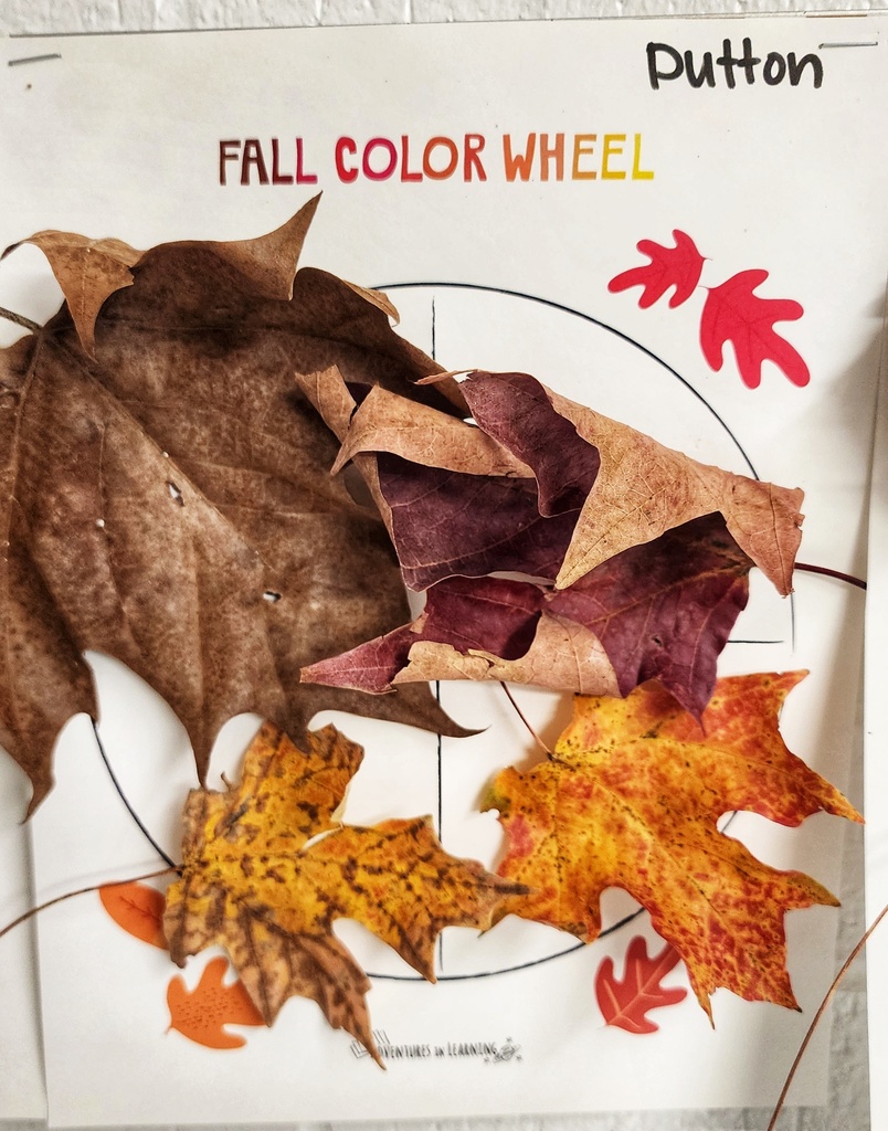student's "Fall Color Wheel" art project