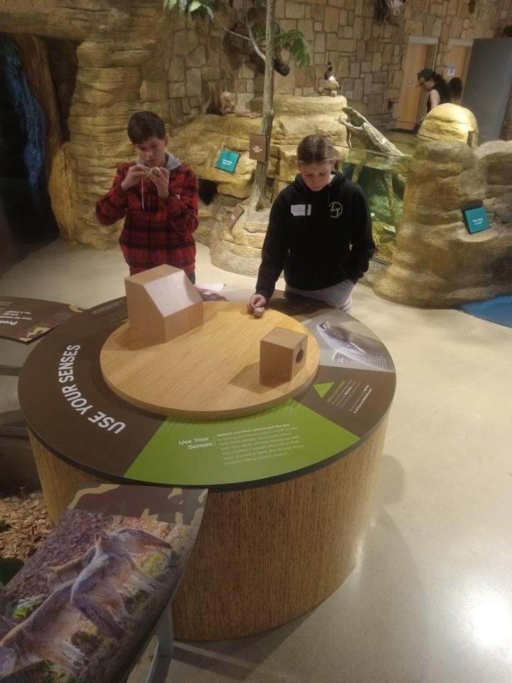 🌟 EAST Student Champions on the Move! 🌟  EAST Student Champions Lily P. and Wyatt W. attended the Northwest Arkansas Student Champion Gathering at the JB and Johnelle Hunt AGFC Nature Center in Springdale on Friday!  They participated in leadership training designed to help them grow as leaders in our EAST program — and even had time to explore the beautiful nature center. 🍃🦌  We can’t wait to see the ideas and inspiration they bring back to our EAST team! 💙💛  #HarrisonMiddleSchool #GreatGoblins #EASTInitiative #StudentChampions #Leadership #HandsOnLearning #FutureLeaders