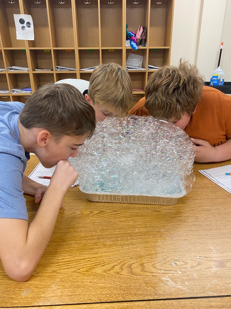 🫧🔬 Cell Membranes With Bubbles! 🔬🫧  Mr. Ditmanson’s science class explored the cell membrane in a fun, hands-on way — using bubbles!  Bubbles make a great model for studying cell membranes because their structure and behavior mimic key properties such as fluidity, flexibility, and self-repair.  What an awesome way to bring science to life! 💙💛  #HarrisonMiddleSchool #GreatGoblins #HMSScience #HandsOnLearning #STEMFun #CellBiology