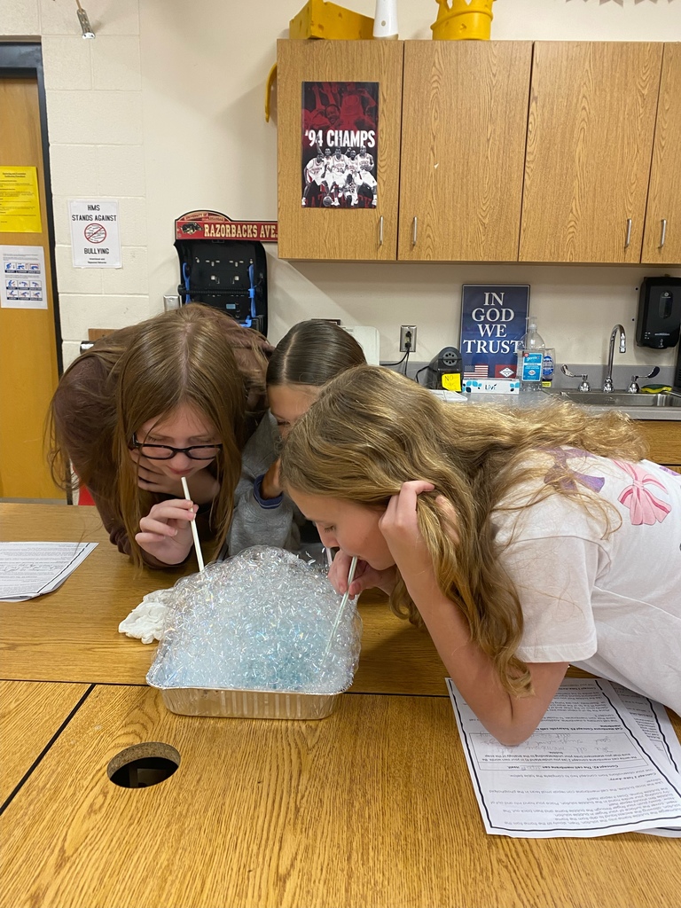 🫧🔬 Cell Membranes With Bubbles! 🔬🫧  Mr. Ditmanson’s science class explored the cell membrane in a fun, hands-on way — using bubbles!  Bubbles make a great model for studying cell membranes because their structure and behavior mimic key properties such as fluidity, flexibility, and self-repair.  What an awesome way to bring science to life! 💙💛  #HarrisonMiddleSchool #GreatGoblins #HMSScience #HandsOnLearning #STEMFun #CellBiology