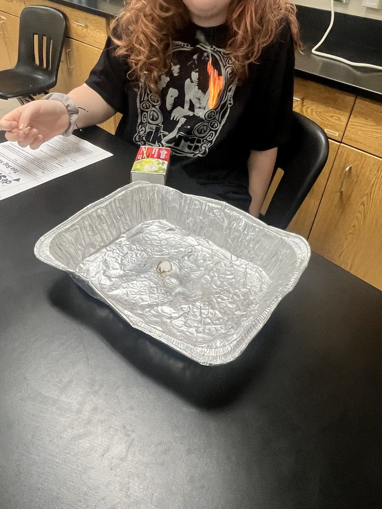 🔥 Tea Bag Rocket Lab! 🚀  When we light the tea bag, it rises into the air because of convection currents. The heat warms the air, making it less dense so it rises, while cooler air moves in to take its place. This movement of air creates enough lift to send the tea bag flying!  Science in action—and the students loved it! 🧪✨