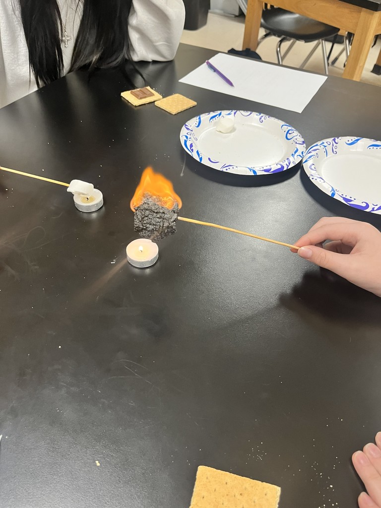  🔥🍫 S’more Science in Action! 🍫🔥 Mrs. Bryant’s class explored chemical and physical properties and changes with a fun s’mores lab! Students learned how everyday activities, such as cooking, involve both physical and chemical changes—proving that science can be both educational and delicious! 😄👩‍🔬👨‍🔬