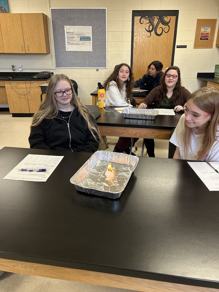  🔬✨ Mrs. Scoggins’ Science Class is busy investigating signs of a chemical reaction! We’re looking for 🔥 heat, 💡 light, 🌡️ temperature changes, and 🧪 the formation of a new substance. Science in action! 👩‍🔬👨‍🔬 #ScienceClass #ChemicalReactions #STEMLearning #HandsOnLearning