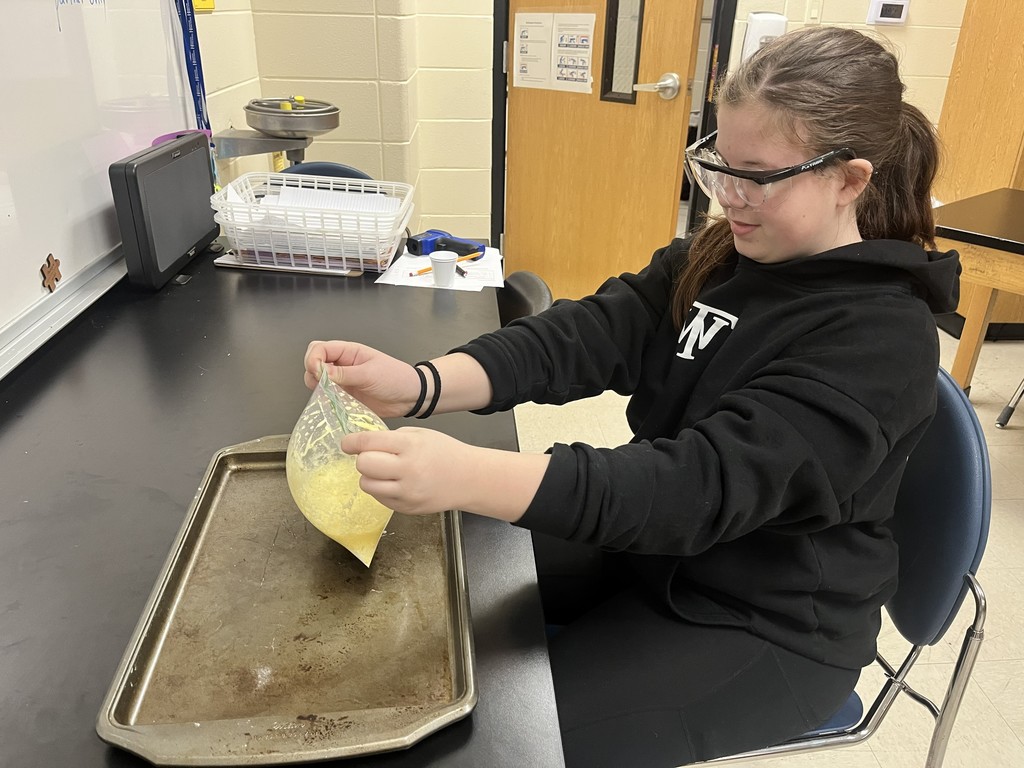Sunset in a Bag Lab 🌅🧪 Students mixed phenol red, water, baking soda, and calcium chloride to observe evidence of a chemical reaction. As the substances reacted, students noticed exciting color and temperature changes—clear signs that a chemical change had occurred! This hands-on, visual lab helped reinforce key concepts of chemical reactions while exploring endothermic vs. exothermic processes. Learning science through experimentation makes it even more memorable!  #SunsetInABag #ScienceInAction #HandsOnLearning #ChemicalReactions #MiddleSchoolScience #STEMLearning #FutureScientists #LabDay #Endothermic #Exothermic #LearningByDoing #ScienceIsFun