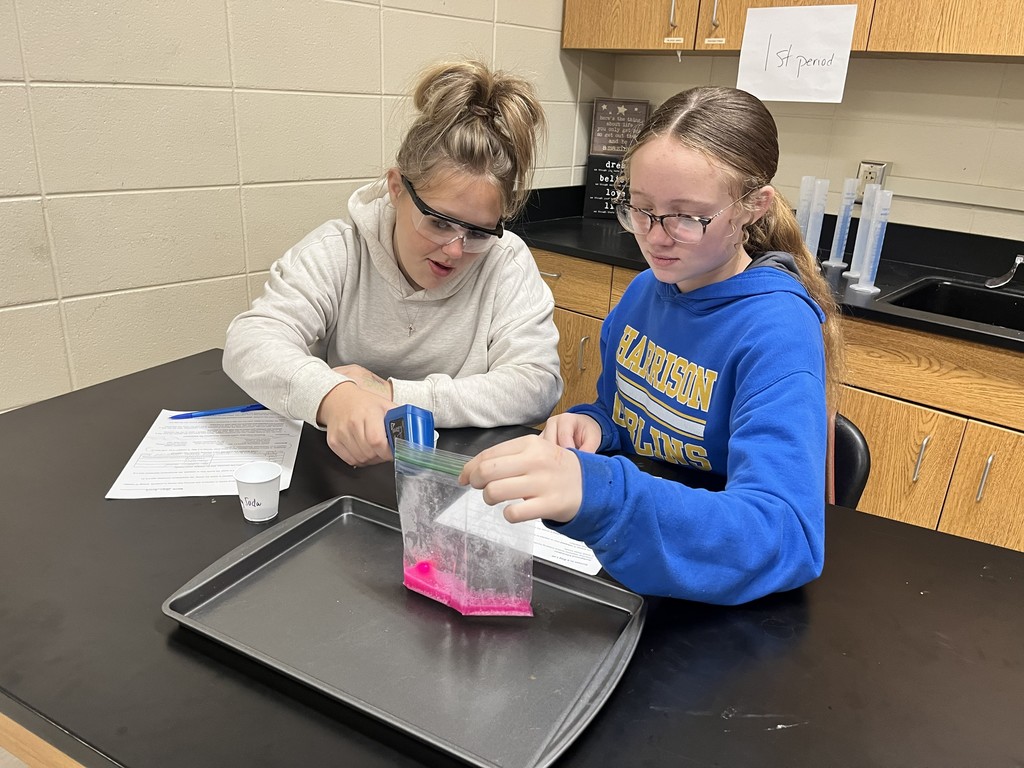 Sunset in a Bag Lab 🌅🧪 Students mixed phenol red, water, baking soda, and calcium chloride to observe evidence of a chemical reaction. As the substances reacted, students noticed exciting color and temperature changes—clear signs that a chemical change had occurred! This hands-on, visual lab helped reinforce key concepts of chemical reactions while exploring endothermic vs. exothermic processes. Learning science through experimentation makes it even more memorable!  #SunsetInABag #ScienceInAction #HandsOnLearning #ChemicalReactions #MiddleSchoolScience #STEMLearning #FutureScientists #LabDay #Endothermic #Exothermic #LearningByDoing #ScienceIsFun