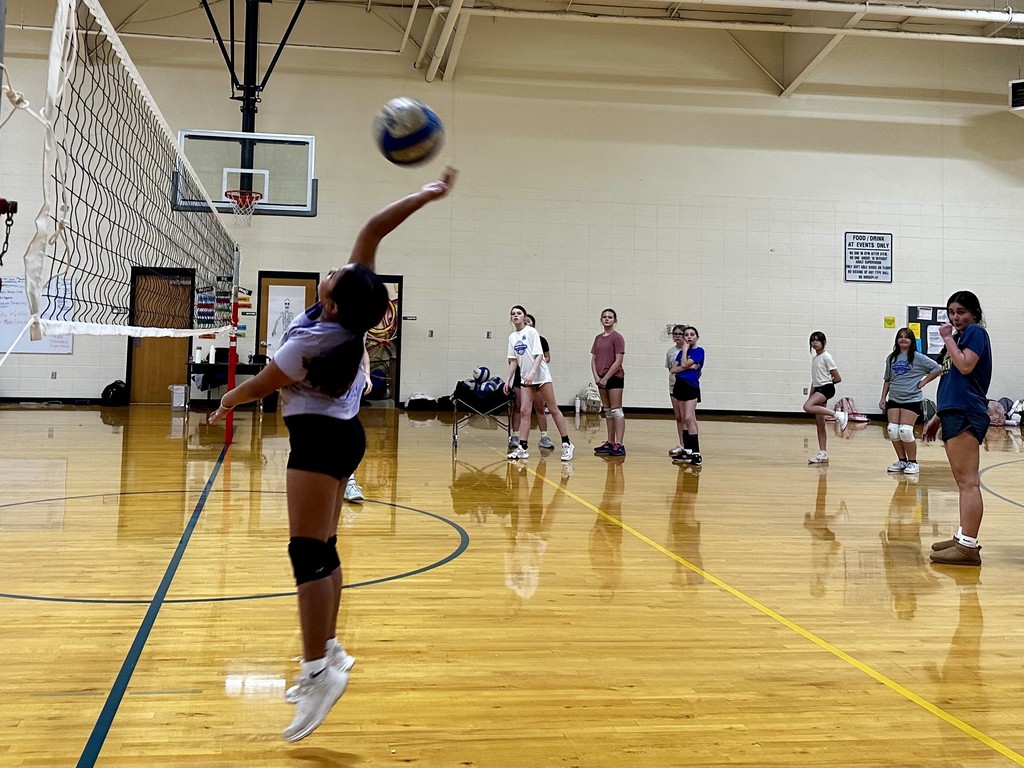 🏐💙 Future Lady Goblins in the Making! 💙🏐  Coach Mattix and the Harrison Volleyball Team have been hosting a FREE volleyball clinic since January, and sessions will continue through spring break!  The clinic is designed to help future players build their skills, grow their confidence, and get to know Coach Mattix ahead of tryouts.  This marks the third year Coach Mattix has partnered with the after-school program to offer these free clinics — and the results have been incredibly successful! We love seeing our future volleyball players putting in the work and preparing for a great season ahead.  #FutureLadyGoblins #HarrisonVolleyball #BuildingChampions #GoGoblins