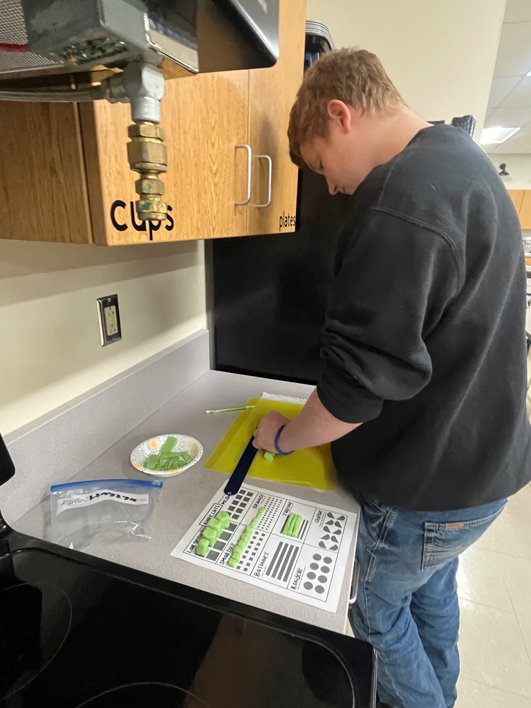 From playdough to professional platters! 🔪🧀  Our 8th-grade Menu Adventure students just wrapped up a two-week knife skills unit that was a total cut above the rest!  After perfecting their technical knife skills using student-made playdough, these young chefs stepped into the kitchen lab to master the real deal. The grand finale? A high-stakes Charcuterie Challenge where students created stunning displays of meats, cheeses, and fruits.  The best part — our school staff served as official judges, casting votes for their favorite boards based on presentation and technique. It was easily one of the most popular (and delicious!) assignments of the year!  We are so proud of the focus, creativity, and teamwork these students brought to the kitchen! 👏✨  #MenuAdventure #CTE #FutureChefs #KnifeSkills #CharcuterieChallenge #HandsOnLearning #MiddleSchoolMagic #StudentSuccess