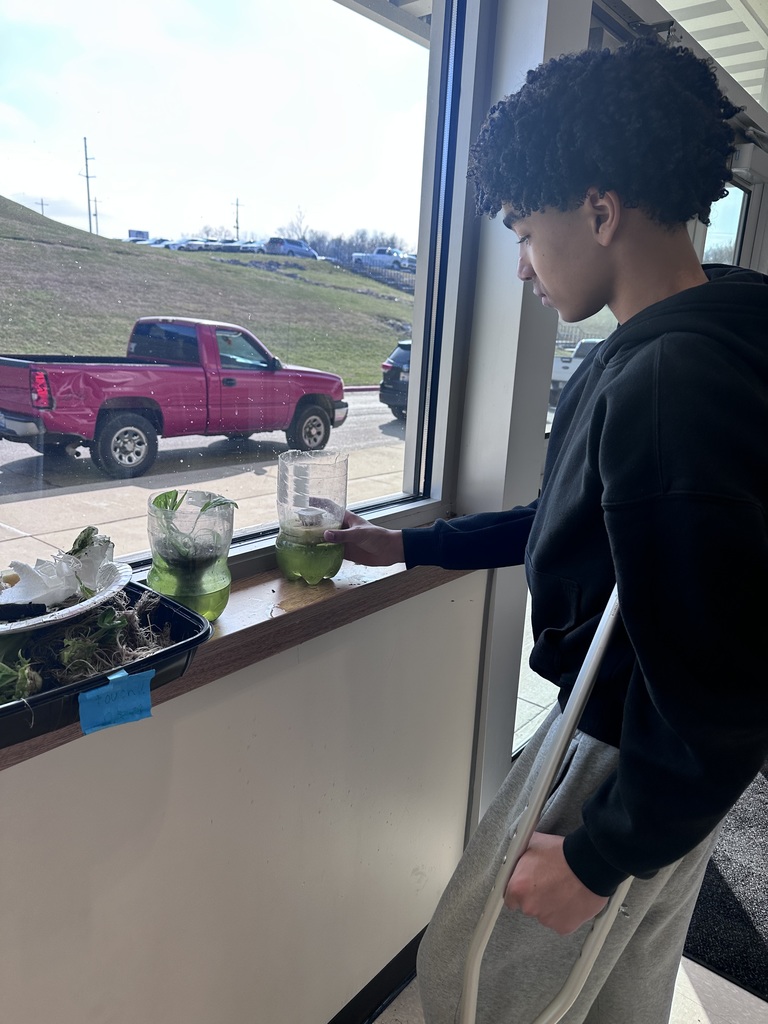 Reed, Dallas, and Jagger have successfully learned how to grow lettuce using our new hydroponics tower. The tower was funded by the Harrison Foundation to provide hands-on learning opportunities for our students. Through collaboration between Mrs. Benton’s Accelerated Language Arts class and Mrs. Beardsley’s EAST class, students are applying problem-solving skills and working together to manage the system and monitor plant growth. The boys are also stepping into leadership roles by teaching younger students about hydroponics and how to build their own system using recycled materials. This week, they will be planting tomatoes, cucumbers, cilantro, and peppers. Stay tuned for updates as their project continues to grow.