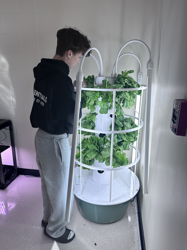 Reed, Dallas, and Jagger have successfully learned how to grow lettuce using our new hydroponics tower. The tower was funded by the Harrison Foundation to provide hands-on learning opportunities for our students. Through collaboration between Mrs. Benton’s Accelerated Language Arts class and Mrs. Beardsley’s EAST class, students are applying problem-solving skills and working together to manage the system and monitor plant growth. The boys are also stepping into leadership roles by teaching younger students about hydroponics and how to build their own system using recycled materials. This week, they will be planting tomatoes, cucumbers, cilantro, and peppers. Stay tuned for updates as their project continues to grow.