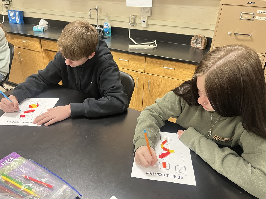 Mrs. Bryant’s 7th grade science classes recently completed an edible food chain lab using candy and marshmallows to model how energy flows through an ecosystem.  Students worked in groups to build food chains, with each type of candy representing a different trophic level in the energy pyramid. For example, some candies represented producers (plants), while others represented primary consumers, secondary consumers, and tertiary consumers.  As students built their food chains, they discussed how energy moves from the sun to producers and then to consumers. The marshmallows and candies helped visually demonstrate how energy decreases as it moves up each trophic level.