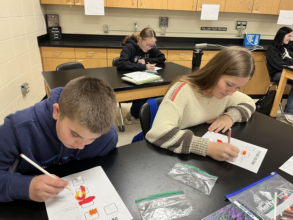 Mrs. Bryant’s 7th grade science classes recently completed an edible food chain lab using candy and marshmallows to model how energy flows through an ecosystem.  Students worked in groups to build food chains, with each type of candy representing a different trophic level in the energy pyramid. For example, some candies represented producers (plants), while others represented primary consumers, secondary consumers, and tertiary consumers.  As students built their food chains, they discussed how energy moves from the sun to producers and then to consumers. The marshmallows and candies helped visually demonstrate how energy decreases as it moves up each trophic level.