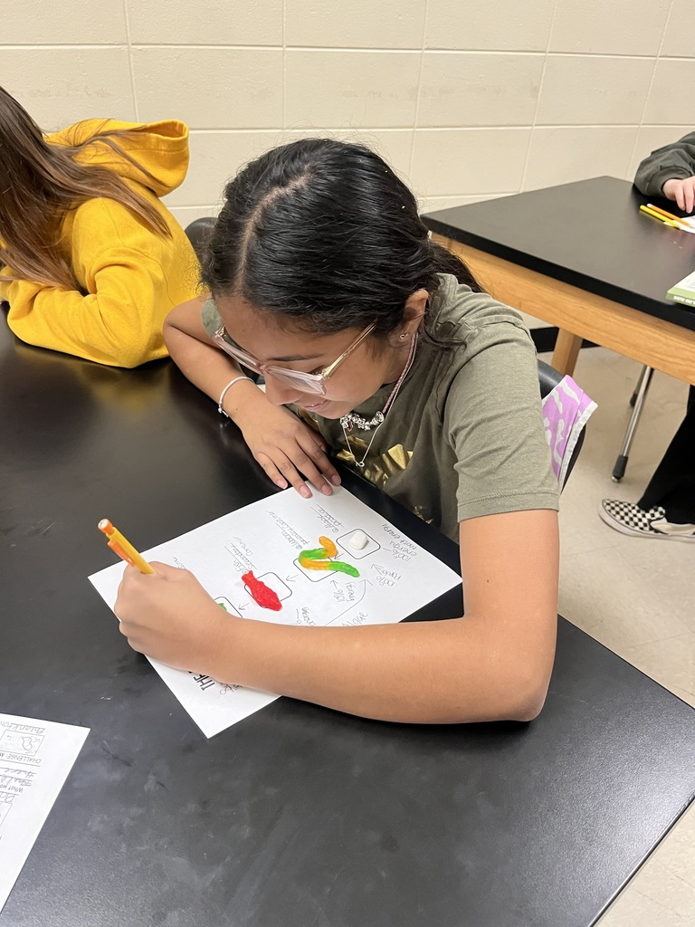Mrs. Bryant’s 7th grade science classes recently completed an edible food chain lab using candy and marshmallows to model how energy flows through an ecosystem.  Students worked in groups to build food chains, with each type of candy representing a different trophic level in the energy pyramid. For example, some candies represented producers (plants), while others represented primary consumers, secondary consumers, and tertiary consumers.  As students built their food chains, they discussed how energy moves from the sun to producers and then to consumers. The marshmallows and candies helped visually demonstrate how energy decreases as it moves up each trophic level.