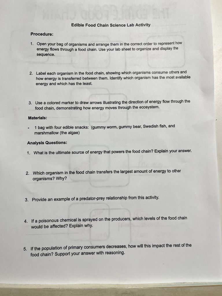 Mrs. Bryant’s 7th grade science classes recently completed an edible food chain lab using candy and marshmallows to model how energy flows through an ecosystem.  Students worked in groups to build food chains, with each type of candy representing a different trophic level in the energy pyramid. For example, some candies represented producers (plants), while others represented primary consumers, secondary consumers, and tertiary consumers.  As students built their food chains, they discussed how energy moves from the sun to producers and then to consumers. The marshmallows and candies helped visually demonstrate how energy decreases as it moves up each trophic level.