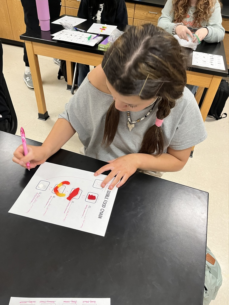 Mrs. Bryant’s 7th grade science classes recently completed an edible food chain lab using candy and marshmallows to model how energy flows through an ecosystem.  Students worked in groups to build food chains, with each type of candy representing a different trophic level in the energy pyramid. For example, some candies represented producers (plants), while others represented primary consumers, secondary consumers, and tertiary consumers.  As students built their food chains, they discussed how energy moves from the sun to producers and then to consumers. The marshmallows and candies helped visually demonstrate how energy decreases as it moves up each trophic level.