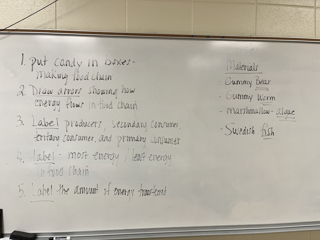 Mrs. Bryant’s 7th grade science classes recently completed an edible food chain lab using candy and marshmallows to model how energy flows through an ecosystem.  Students worked in groups to build food chains, with each type of candy representing a different trophic level in the energy pyramid. For example, some candies represented producers (plants), while others represented primary consumers, secondary consumers, and tertiary consumers.  As students built their food chains, they discussed how energy moves from the sun to producers and then to consumers. The marshmallows and candies helped visually demonstrate how energy decreases as it moves up each trophic level.