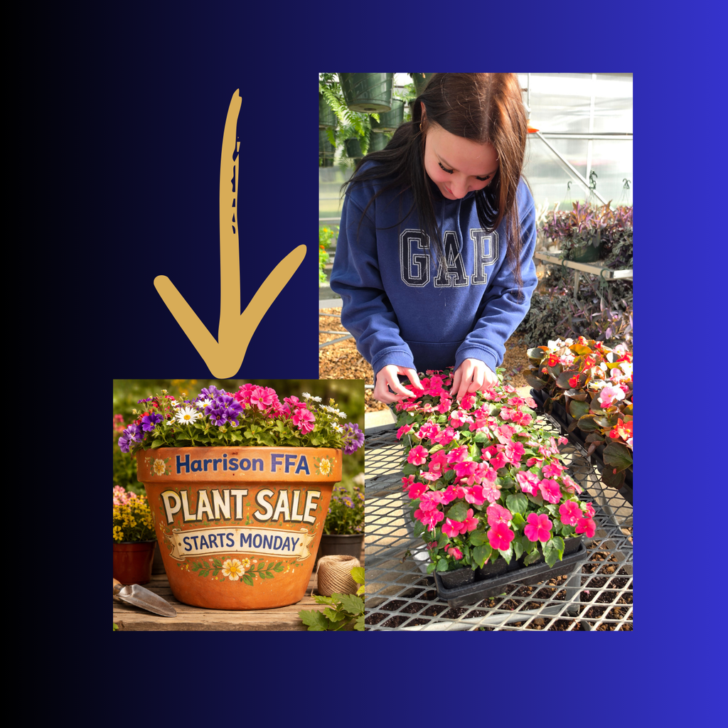 Student working in the greenhouse