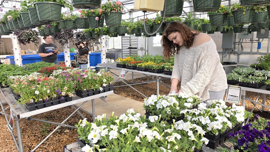 student working in greenhouse