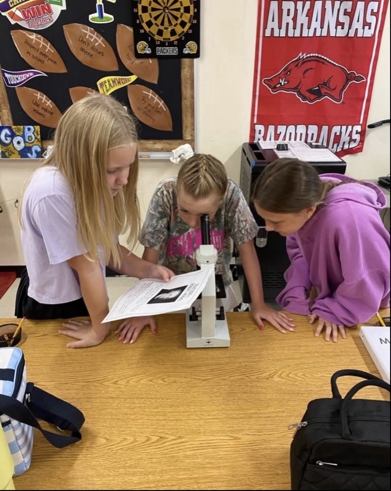Three middle school girls collaborate around a microscope on a wooden desk. One student in a camouflage shirt looks through the eyepiece, while her classmates look on, reference an instructional packet, and stand in front of an Arkansas Razorbacks banner.