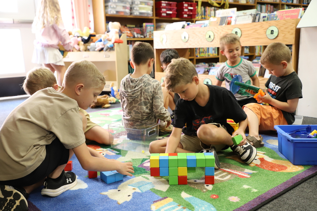 A group of young elementary school boys sit on a colorful patterned rug in a classroom library, collaboratively playing and building structures with bright plastic blocks and toys.