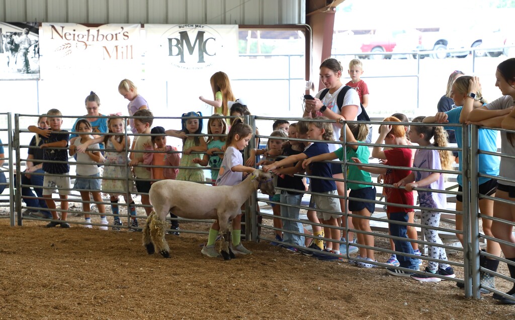 Elementary students lined up along a metal fence inside a livestock arena, watching and reaching out to gently pet a small sheep standing inside the ring.