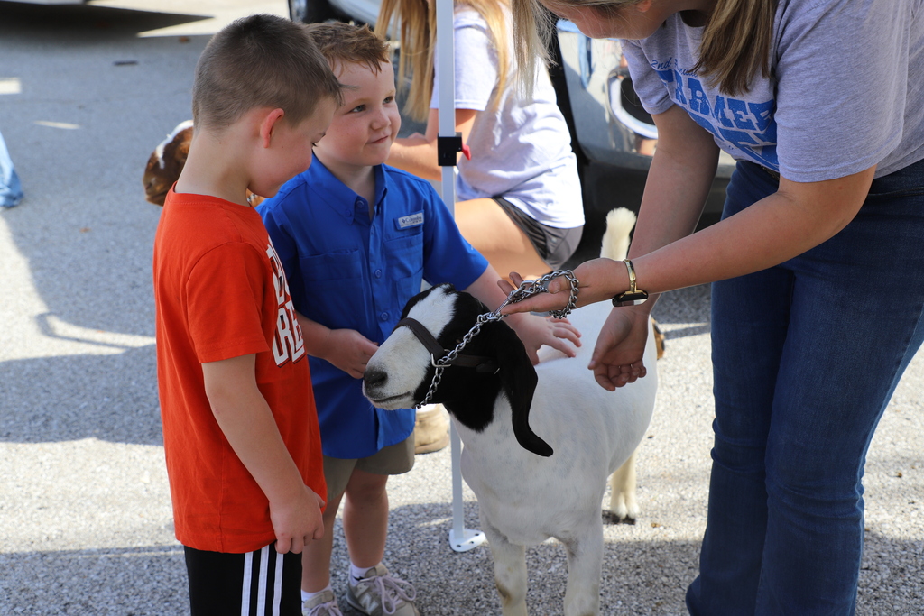 Two young boys stand together admiring a black-and-white show goat held by an FFA member in a grey shirt and jeans.