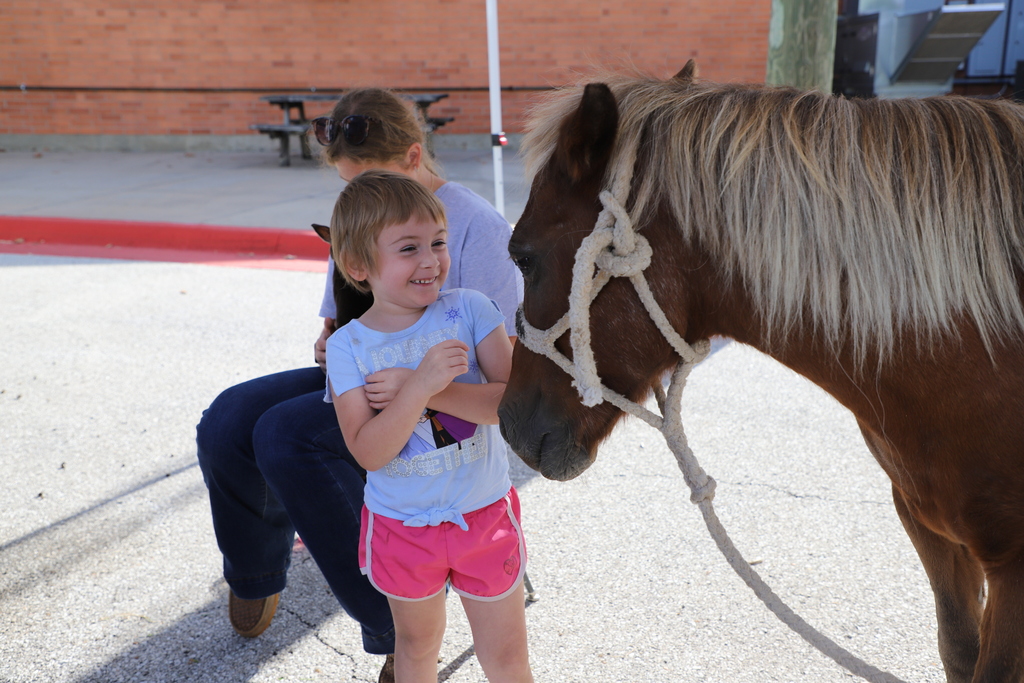 A young girl in a light blue shirt smiles brightly as she stands close and hugs a small brown pony under a pop-up tent shade.