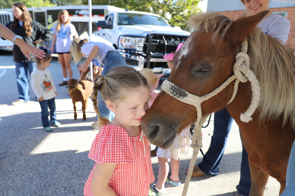 A young girl in a red plaid top gently nuzzles her face against a small brown pony halter-led by an high school FFA member outdoors.