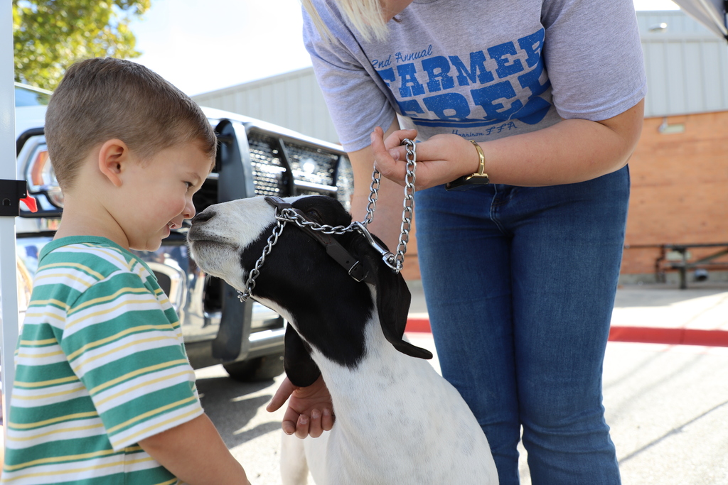 A young boy in a striped green shirt smiles eye-to-eye with a black-and-white goat held on a lead by a high school student.