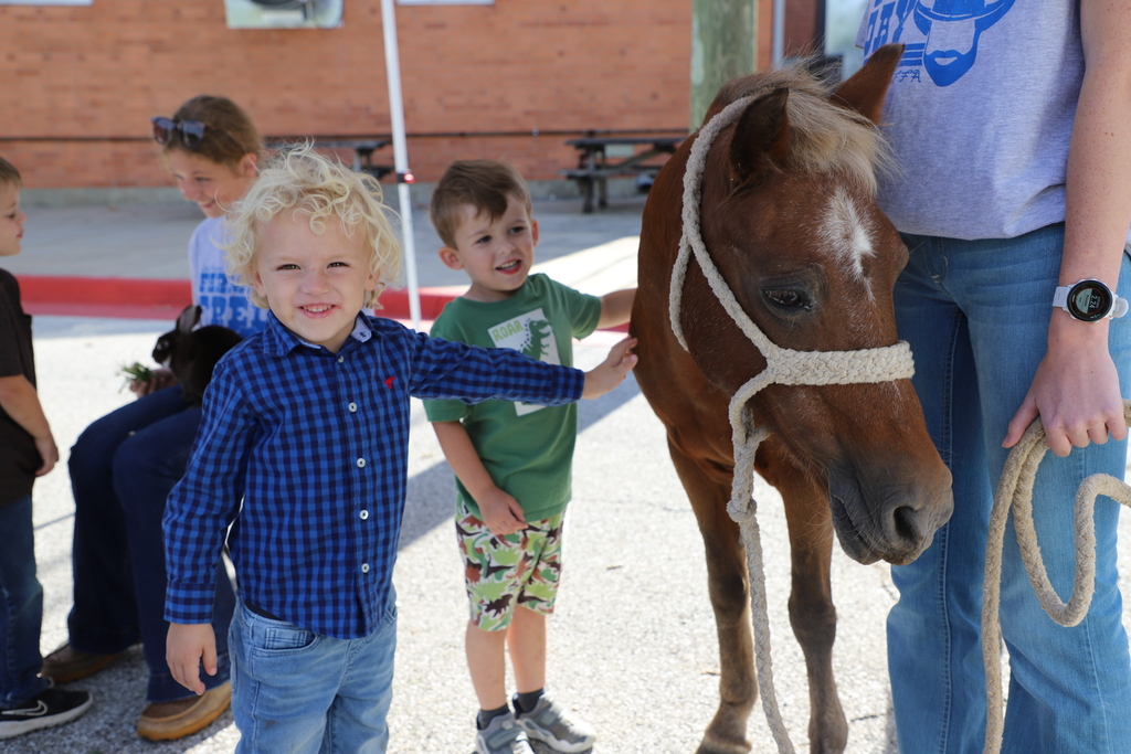 A young boy in a blue plaid shirt grins at the camera while gently touching a small brown pony, with another young boy in a green shirt touching the pony next to him.