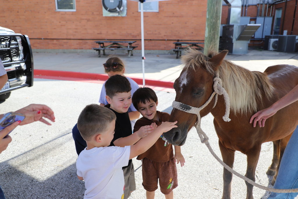Three young children reach out together to pet the nose of a small brown pony led by an high school student outside a brick school building.