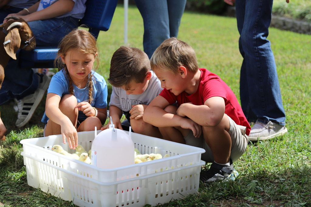 Three young children kneeling in the grass, leaning forward to watch yellow baby chicks inside a white crate.