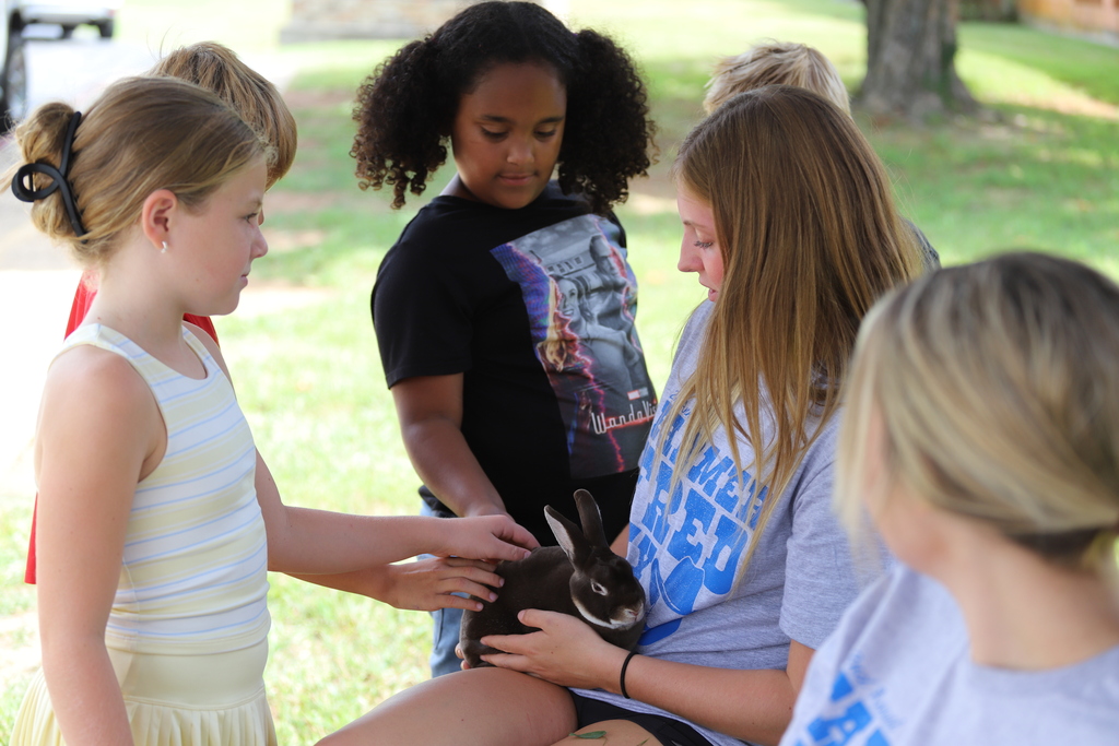 High school volunteers showing a small black and white rabbit to elementary school girls who are gently petting its fur.