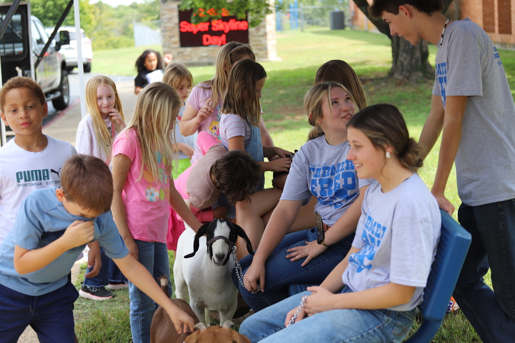 High school agriculture students sitting on a bench holding a goat on a leash, while elementary students gather around to pet the goat.