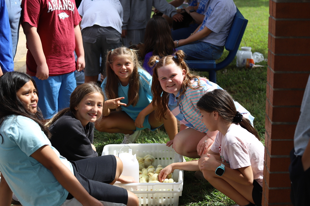 Four young elementary school girls smiling and posing for the camera while crouched next to a crate of yellow baby chicks.