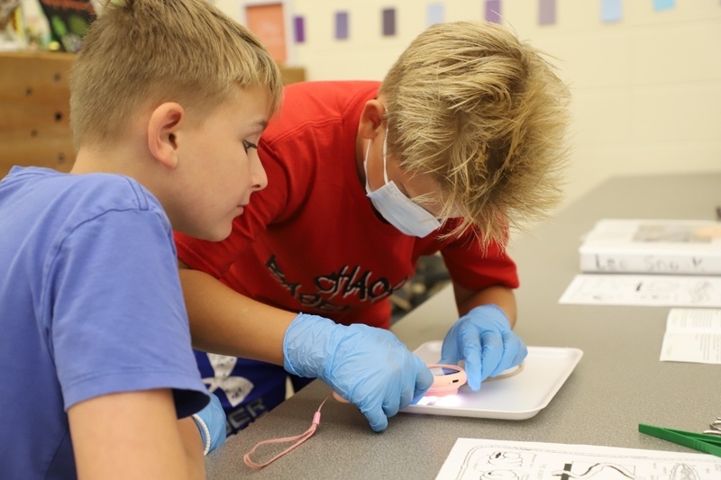 Two boys wearing face masks and blue gloves lean closely over a desk, focusing intently as one uses tools to pin open a specimen on a tray during a science lab.