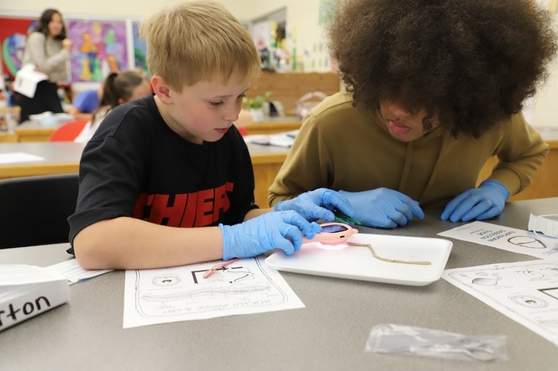 Two students with face masks work side-by-side, carefully inspecting an earthworm dissection tray using a light-up magnifying glass.