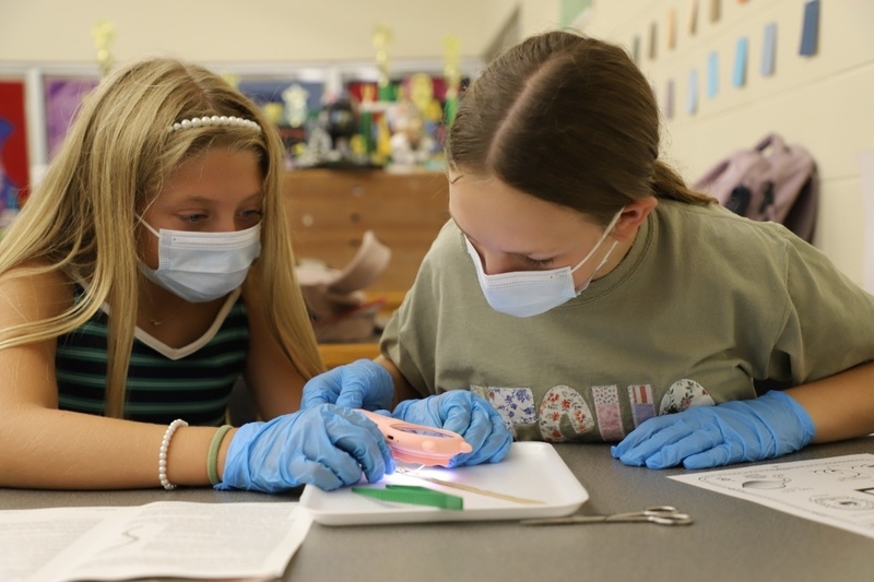 Two students wearing face masks and blue lab gloves work together at a desk, using a handheld illuminated magnifying tool to examine a specimen on a white tray.