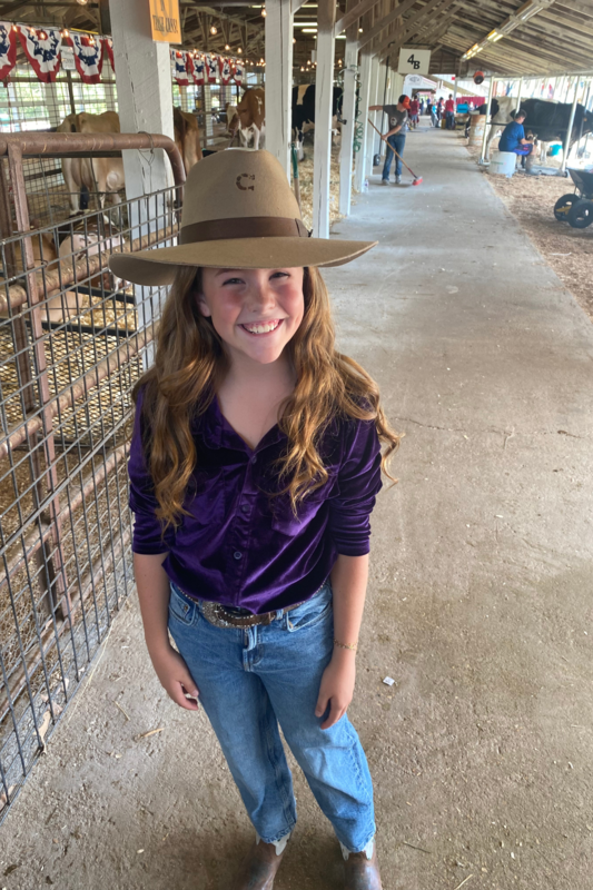 Students showing animals at Boone County Fair