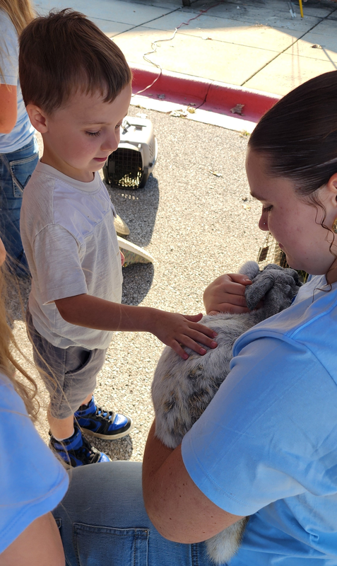 students with rabbit