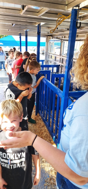 kids at petting zoo