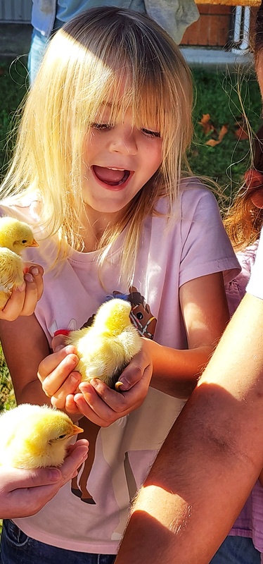 student with baby chick