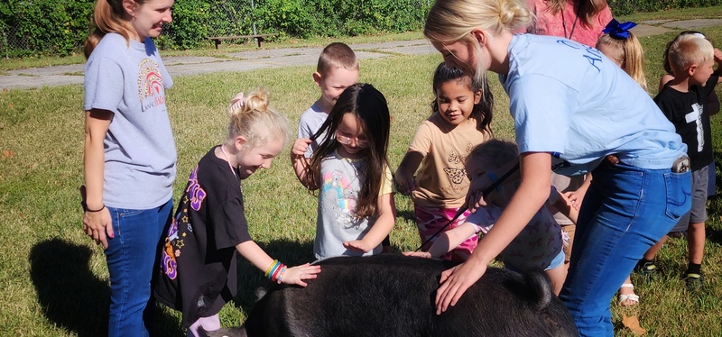 Students enjoying the petting zoo