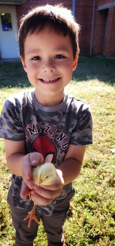 student with baby chick