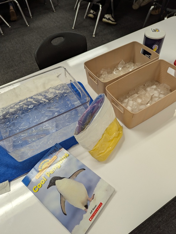 ice and activity materials