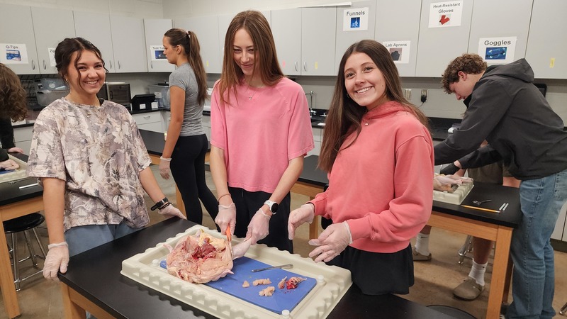 student in dissection lab