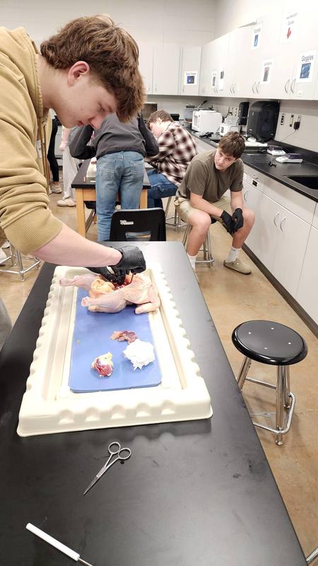 student in dissection lab