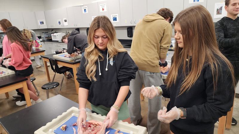 student in dissection lab